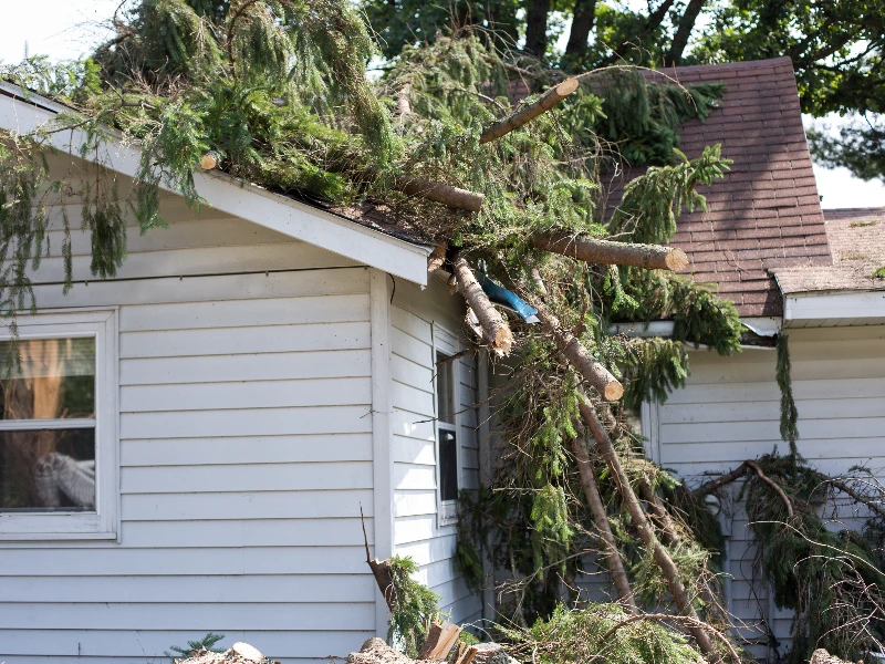 Large tree branches fallen and resting on the roof of a white house. storm damage restoration